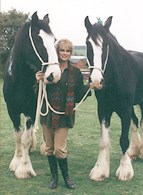 Joanna Lumley - Shire Horse Twins